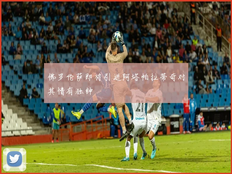 佛罗伦萨即将引进阿塔帕拉蒂奇对其情有独钟
