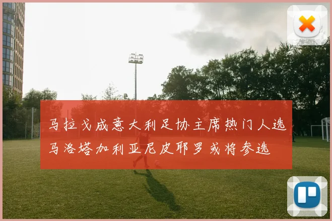 马拉戈成意大利足协主席热门人选马洛塔加利亚尼皮耶罗或将参选