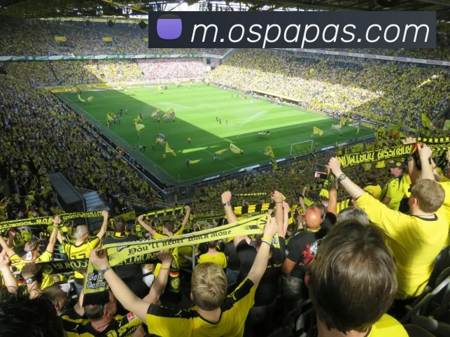 电竞内容频道
